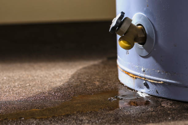 Best Flood damage cleanup  in Mason, TX