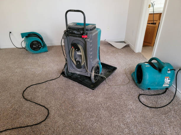 Best Ceiling water damage repair  in Mason, TX