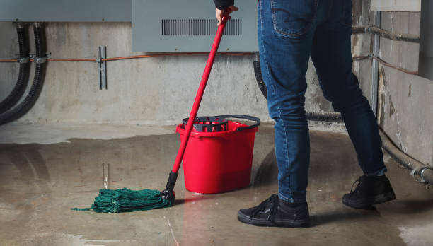 Best Water damage cleanup near me  in Mason, TX