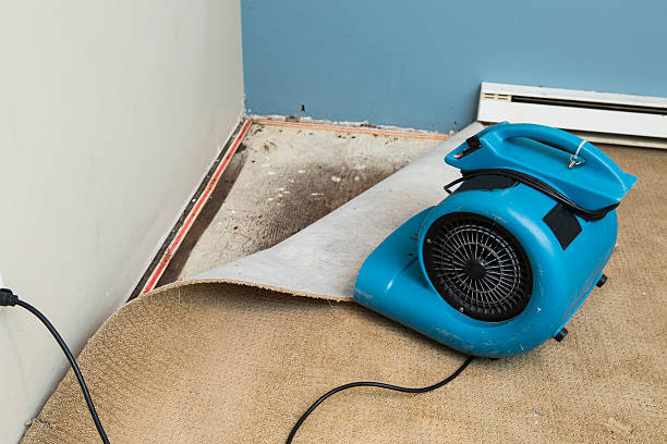 Best Water damage restoration process  in Mason, TX